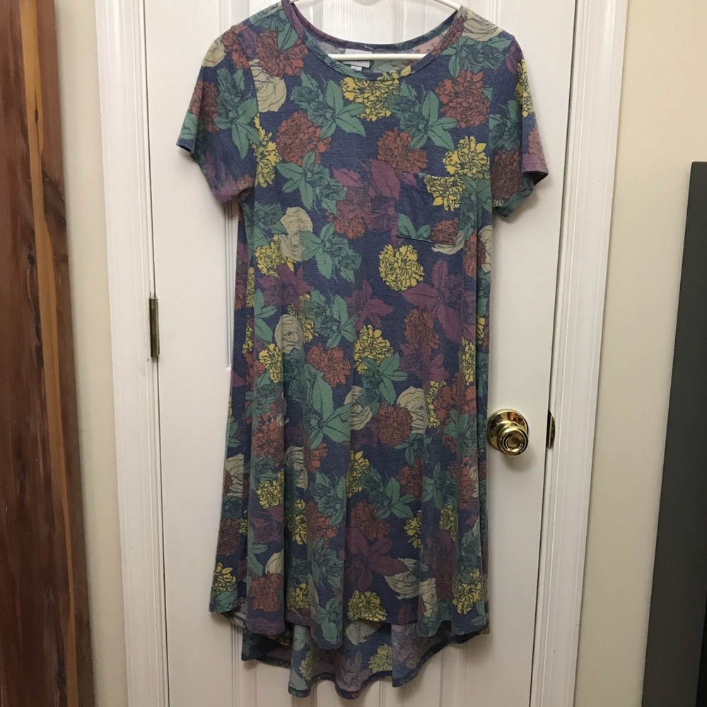 Lularoe Carly Dress High Low Hem Floral Small